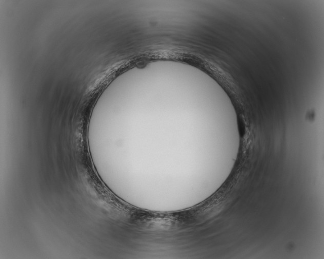 X0000116330306200912151311