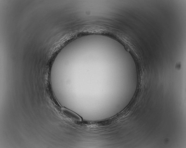 X0000116330309200912151311