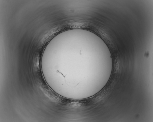 X0000116330310200912151311