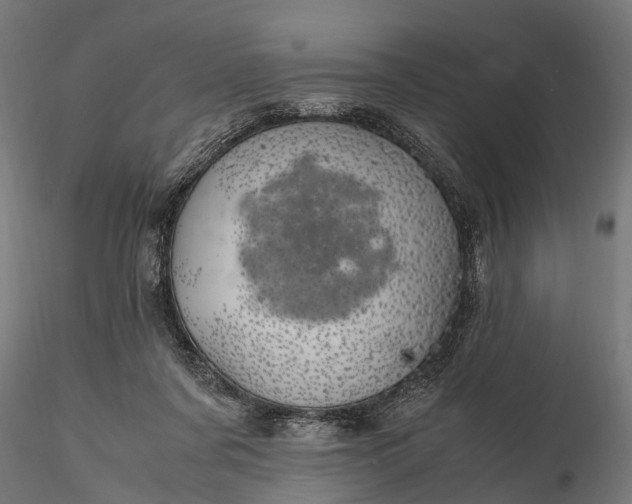 X0000116330311200912151311