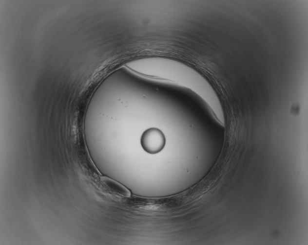 X0000116330312200912151311