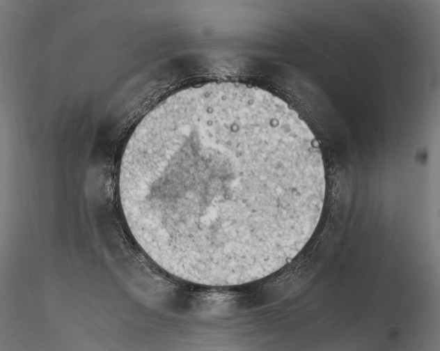 X0000116330313200912151311