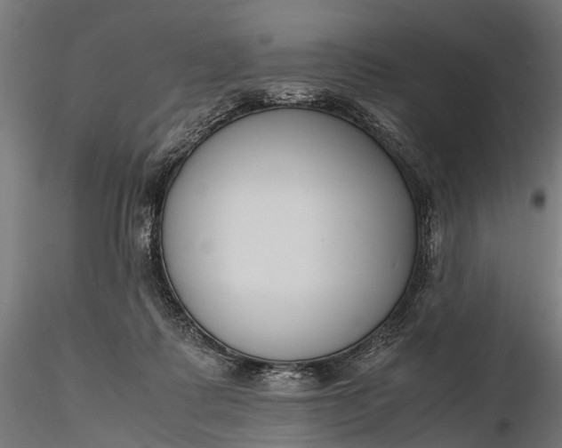 X0000116330315200912151311