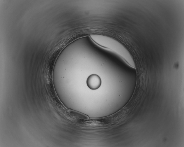 X0000116330316200912151311