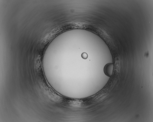 X0000116330318200912151311