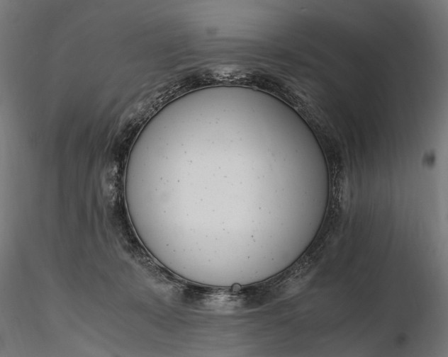 X0000116330319200912151311