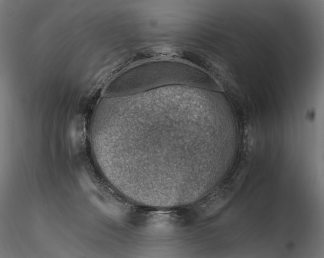 X0000116330320200912151311