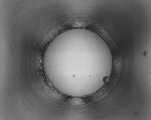 X0000116330322200912151311