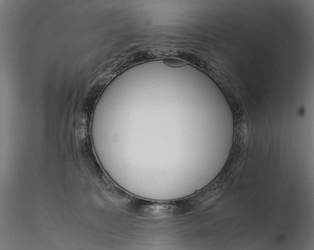 X0000116330323200912151311