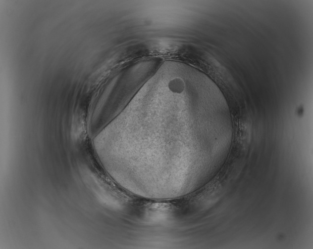 X0000116330324200912151311