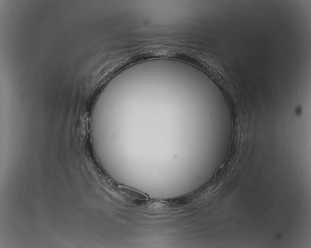 X0000116330325200912151311