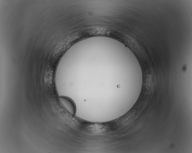 X0000116330326200912151311