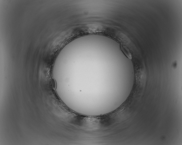 X0000116330327200912151311