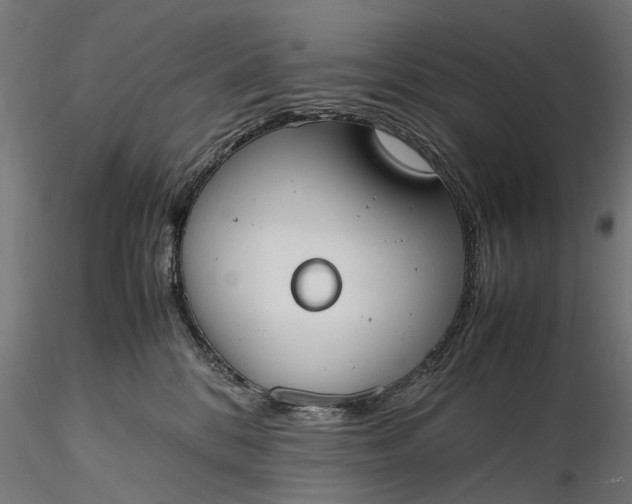 X0000116330328200912151311