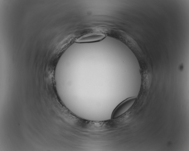 X0000116330329200912151311