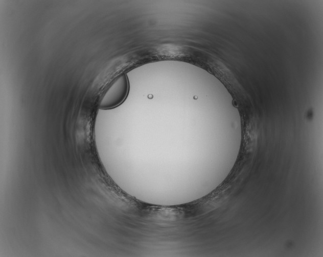 X0000116330330200912151311