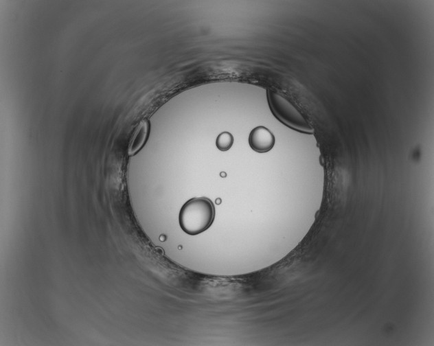 X0000116330331200912151311