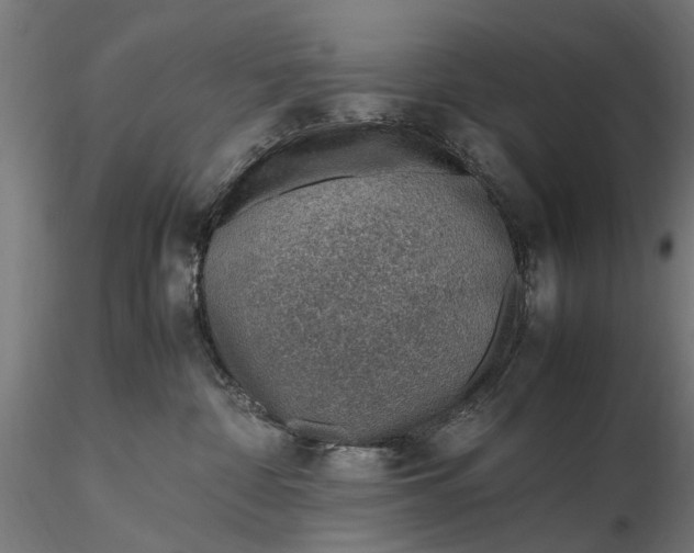 X0000116330332200912151311