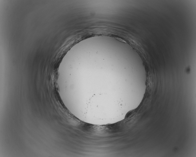 X0000116330333200912151311