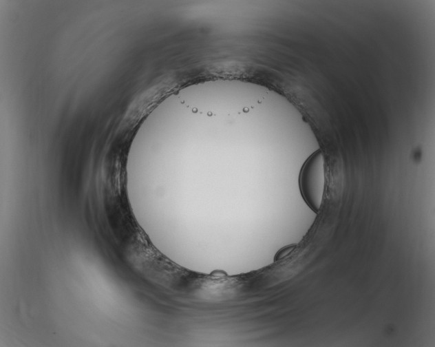 X0000116330334200912151311