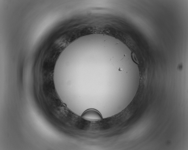 X0000116330335200912151311