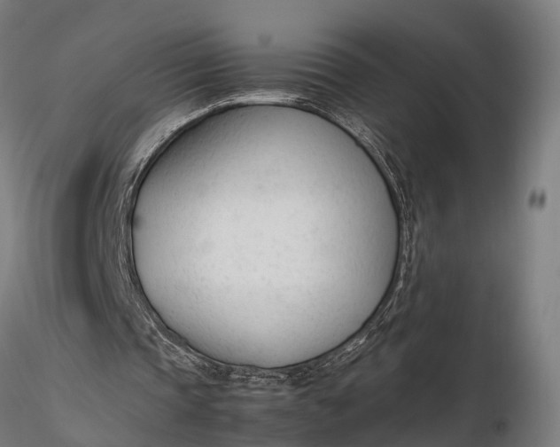 X0000116330337200912151310