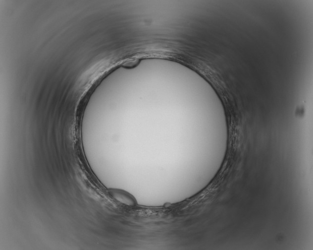 X0000116330338200912151310