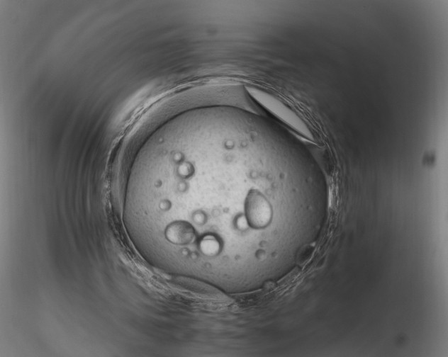 X0000116330339200912151310