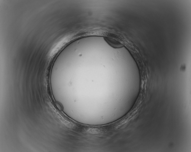 X0000116330341200912151310