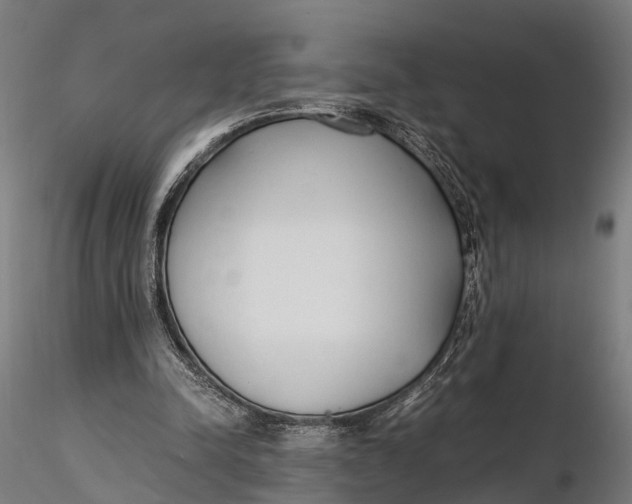 X0000116330342200912151310