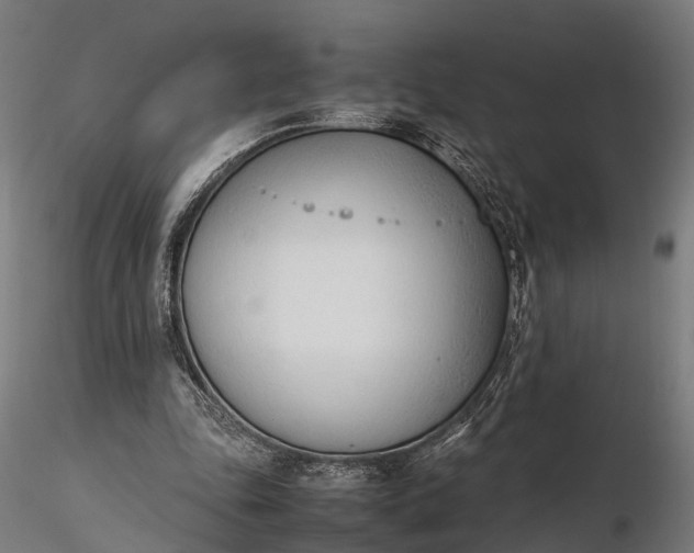 X0000116330343200912151310