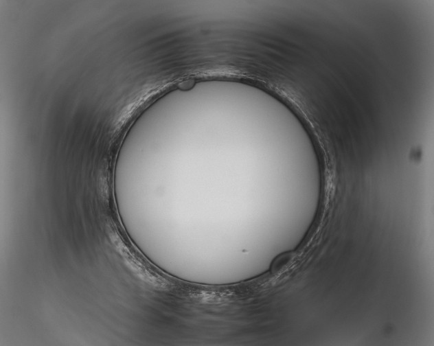 X0000116330345200912151310