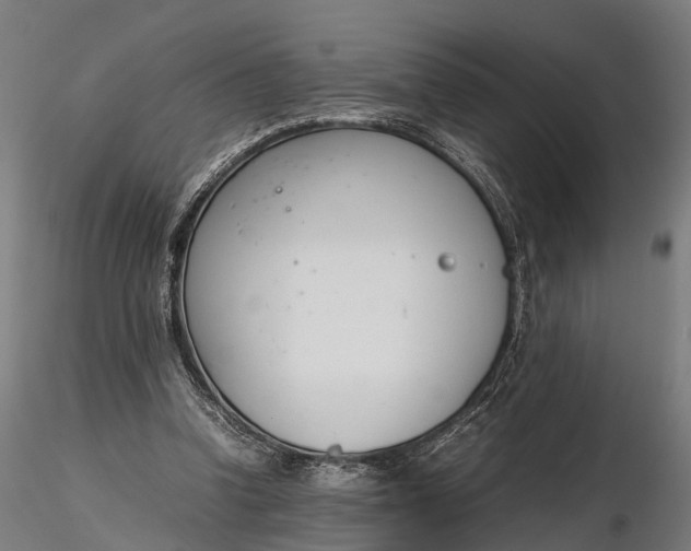 X0000116330346200912151310