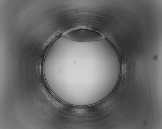 X0000116330349200912151310