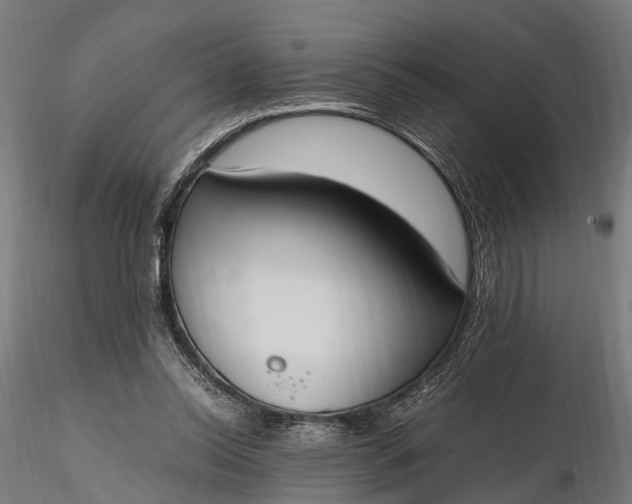 X0000116330350200912151310