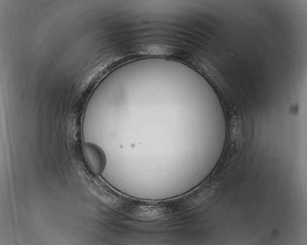 X0000116330351200912151310