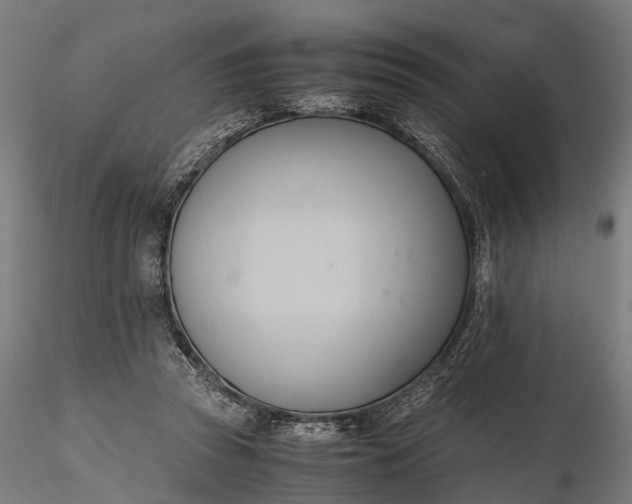 X0000116330353200912151310