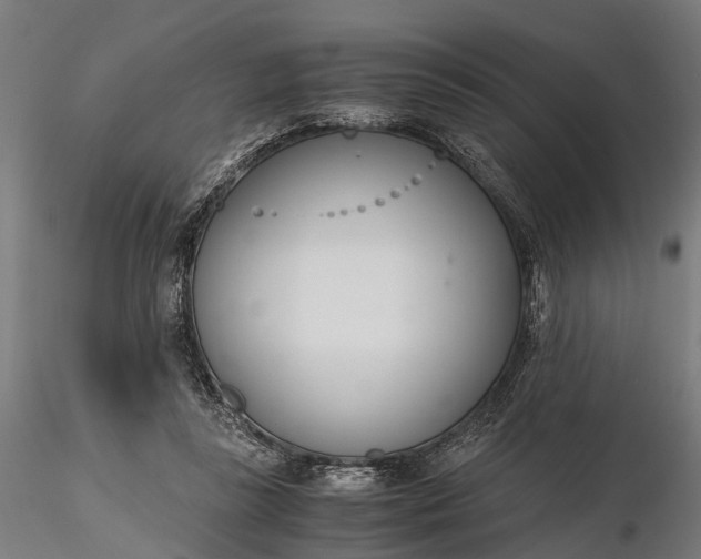 X0000116330355200912151310