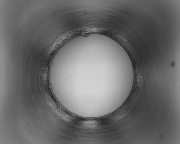 X0000116330357200912151310