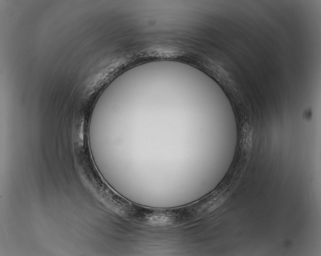 X0000116330358200912151310