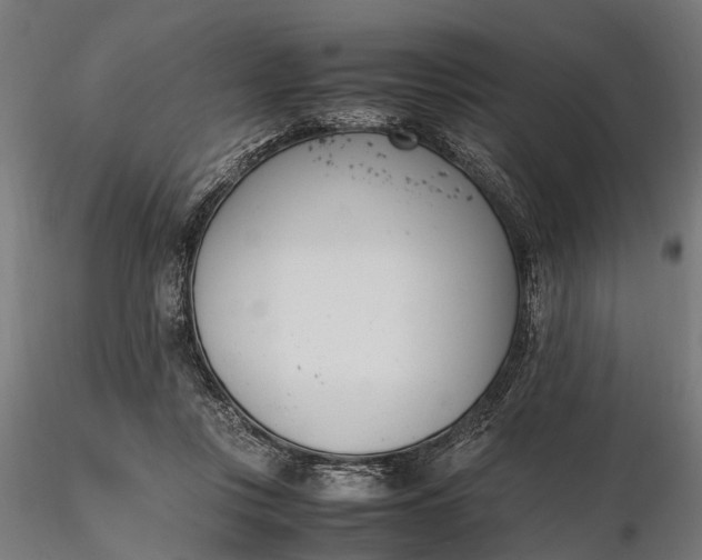 X0000116330359200912151310