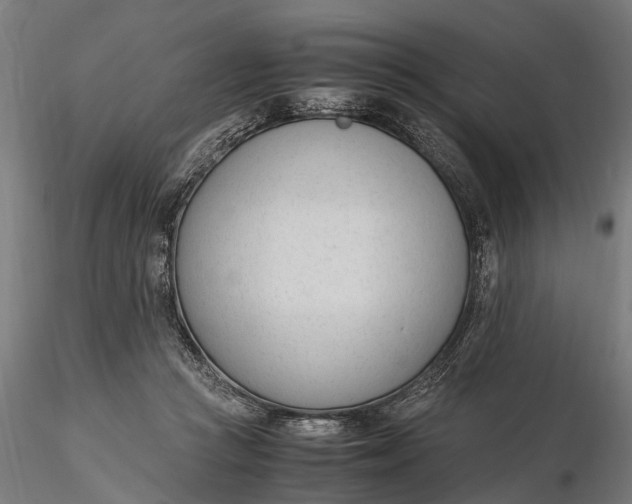 X0000116330361200912151310