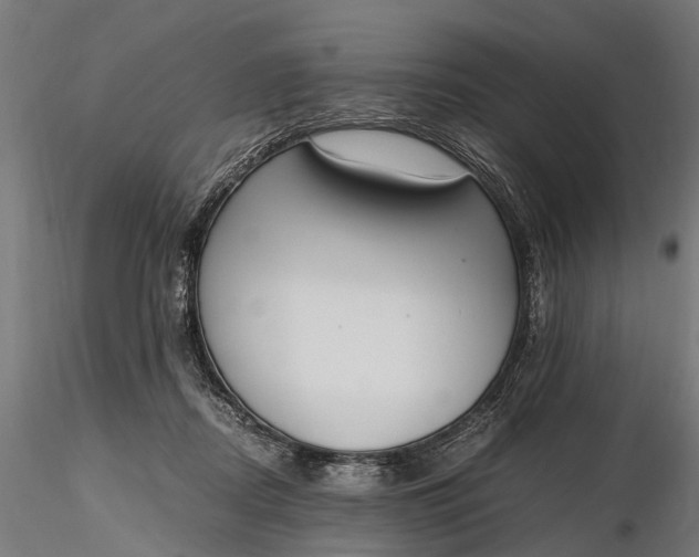 X0000116330362200912151310