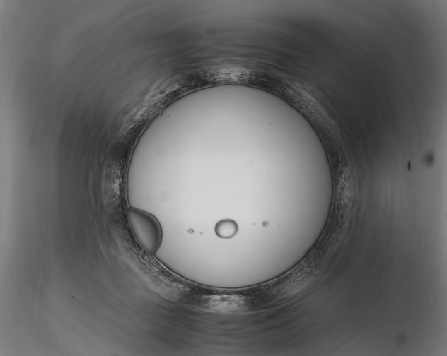 X0000116330363200912151310