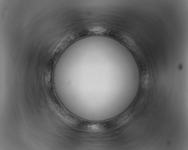 X0000116330365200912151310