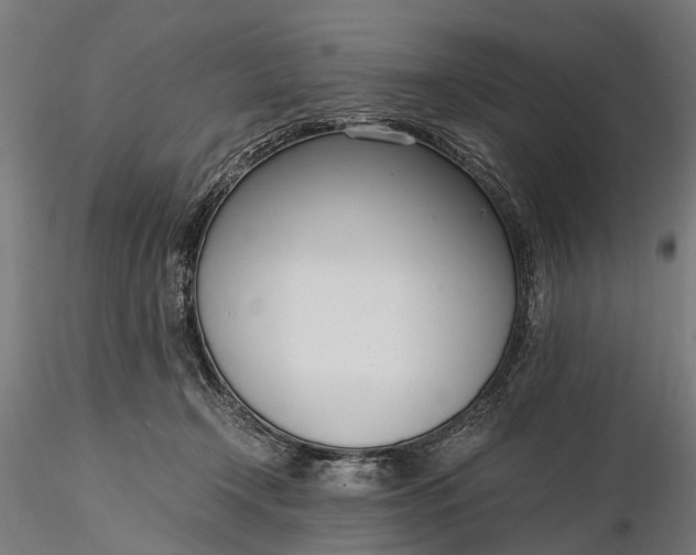 X0000116330366200912151310