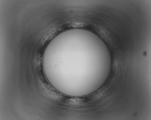 X0000116330367200912151310