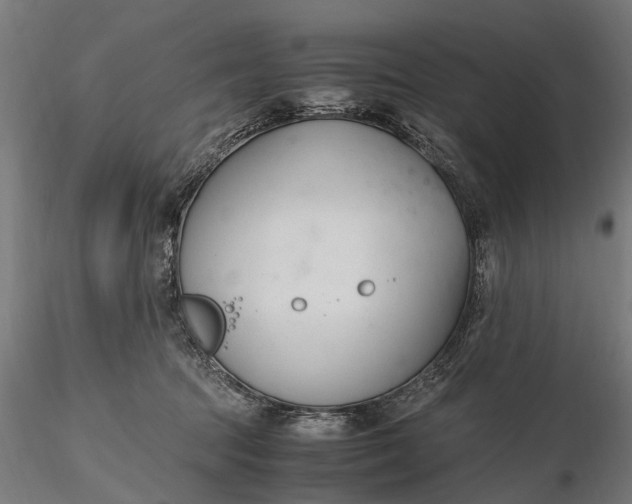 X0000116330369200912151310