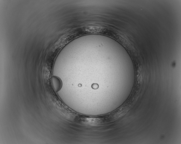 X0000116330371200912151310