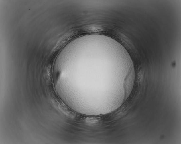 X0000116330373200912151310